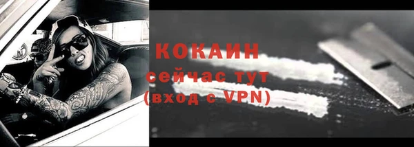 шишки Бугульма