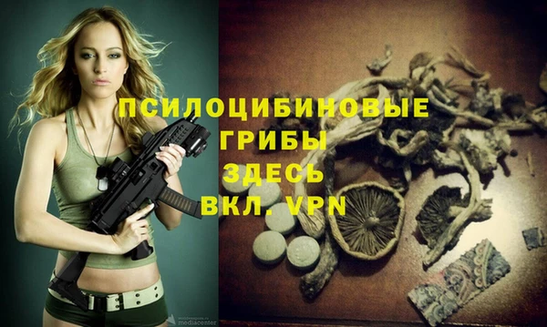 СК Бородино