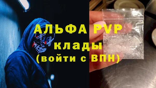 СК Бородино